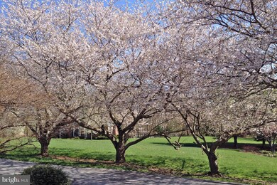 153 Dewberry Dr, Hockessin, DE 19707 - photo 7