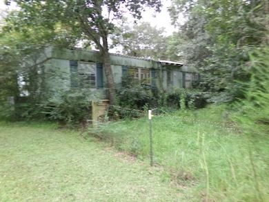 3144 Old Pelham Rd, Camilla, GA 31730 - photo 2