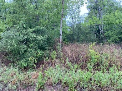 0 Cooper Ann Rd unit SWL22005218, Hackberry, LA 70645 - photo 5