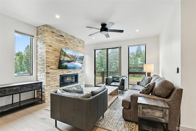 66 E 6th St, Silverthorne, CO 80498 - photo 3