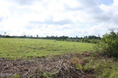 0 Lake Rd, McHenry, MS 39561 - photo 3