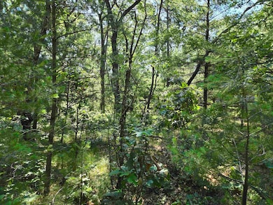 0 13th Dr unit 2003391, Adams, WI 53934 - photo 5