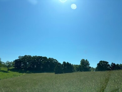 13.16 Ac Coles Chapel Rd, Sparta, TN 38583 - photo 4