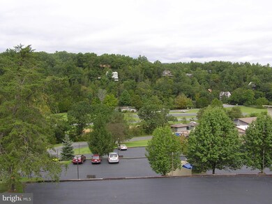 1814 Fairway Dr unit 333 & 334, Basye, VA 22810 - photo 6