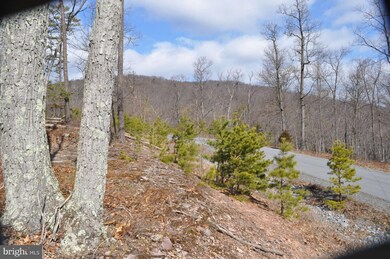 0 Herschel Ln unit 1003415506, Gerrardstown, WV 25420 - photo 5