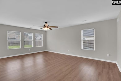 100 Baltic Ct, Chapin, SC 29036 - photo 7