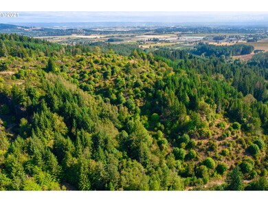 Drone View/UAV