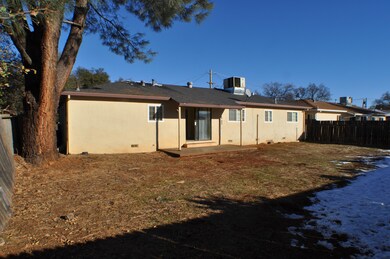 Back View