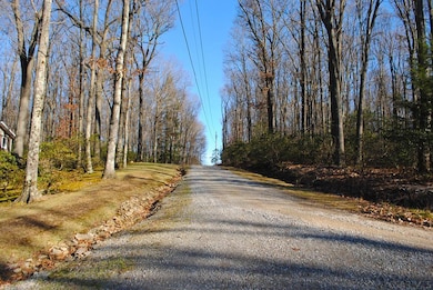 Deer Lane from/to Rt 422