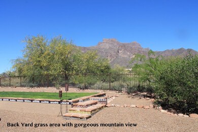 BackYard1