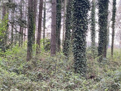 15706 S Highway 211, Molalla, OR 97038 - photo 2