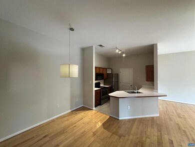 750 Walker Square unit 4B, Charlottesville, VA 22903 - photo 3
