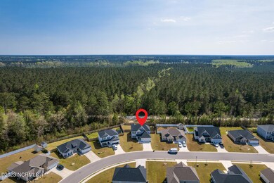 1011 Spot Cir, New Bern, NC 28562 - photo 4