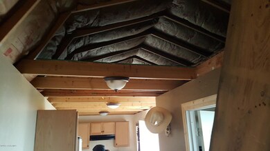 Vanloan Lot 21 ceiling