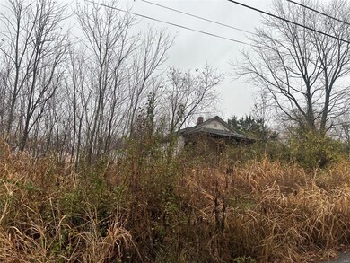 303 Lion St, Dixon, MO 65459 - photo 3