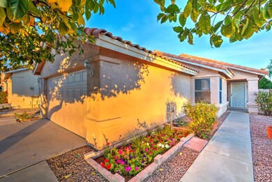 3220 E Poinsettia Dr-4