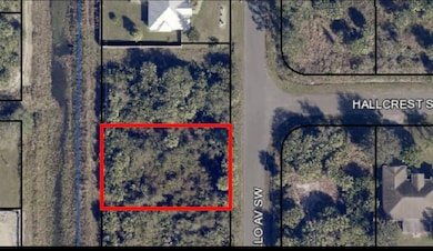 2950 Pomello Ave SW, Palm Bay, FL 32908 - photo 2