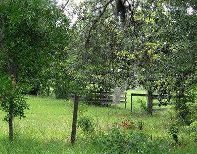 7600 Fort King Rd, Zephyrhills, FL 33541 - photo 6