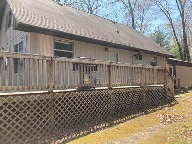 1117 W Lucinda Ln, Baldwin, MI 49304 - photo 3