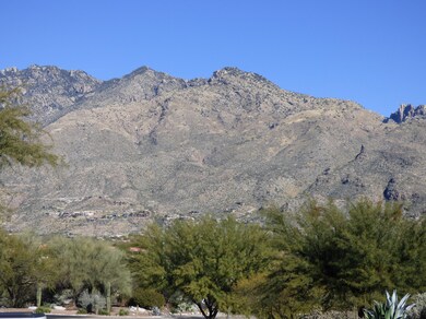 Majestic mountain vistas