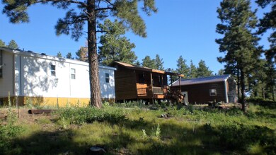 33028 Bobcat Ct, Trinidad, CO 81082 - photo 2