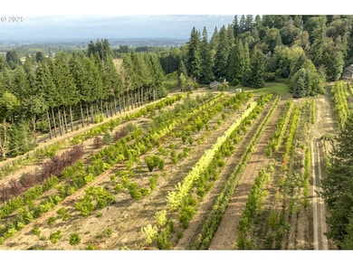 29630 SE Wheeler Rd, Boring, OR 97009 - photo 7