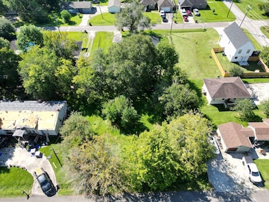 155 W Herring St, Sour Lake, TX 77659 - photo 3