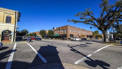 1300 Arbor Ct unit Lot 78 Macon A, Conway, SC 29527 - photo 4