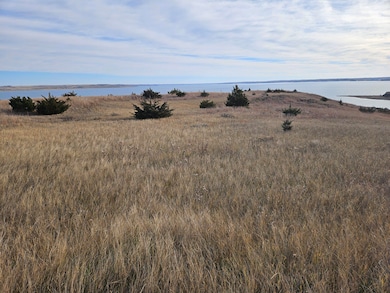 20214 Coyote Rd, North Stanley, SD 57532 - photo 5