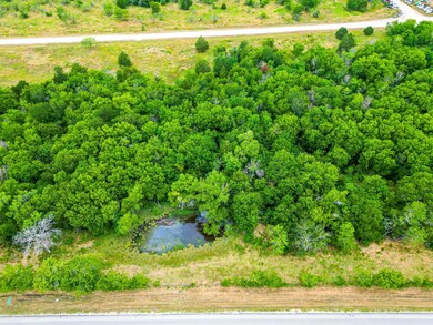 Lot 3 Grison Cir, Corsicana, TX 75109 - photo 6