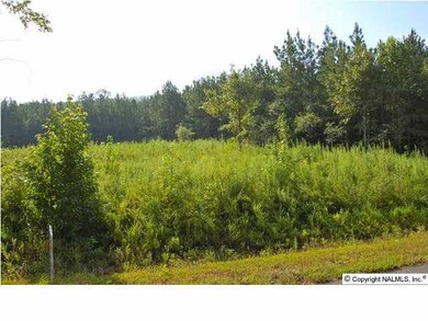 2640 White Elephant Rd, Grant, AL 35747 - photo 7