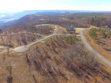 0 Eagle Eye Dr unit RTC2721801, Jasper, TN 37347 - photo 3