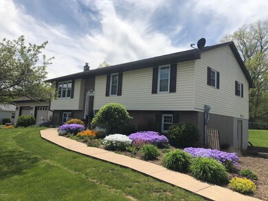 Spring Blooms