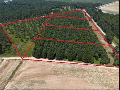 0 Chappell Rd unit 543723, Waynesboro, GA 30830 - photo 3