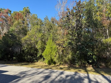 129 Water Oaks Way, Apalachicola, FL 32320 - photo 5