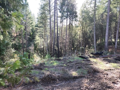 1196 Doe Rd, Rail Road Flat, CA 95245 - photo 5