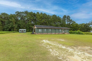 1457 Birch Creek Rd, Andrews, SC 29510 - photo 5