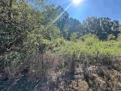 .31 Acres Rod Anderson Rd, St. Amant, LA 70774 - photo 3