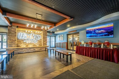 290 Marsh Hill Rd unit 224A, Mc Henry, MD 21541 - photo 5