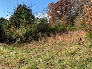 2212 U S 41a, Shelbyville, TN 37160 - photo 5