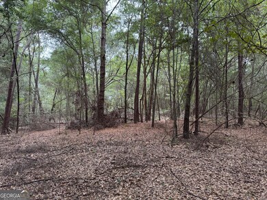 0 Glen Dr unit 10611123, East Dublin, GA 31027 - photo 7