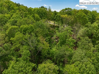 EC1 Eagle Crest Trail, Elk Park, NC 28604 - photo 6