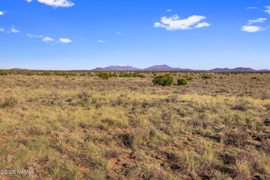 591 S Palmetto Rd, Valle, AZ 86046 - photo 7