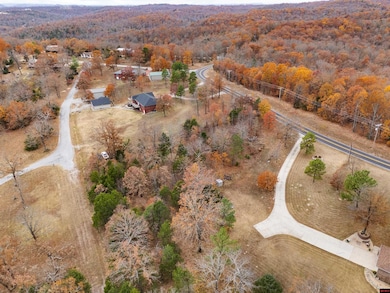 002-09984-000 Sycamore Rd, Mountain Home, AR 72653 - photo 6