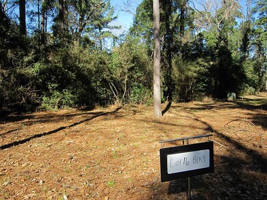 22509 Rosehurst Dr, Tomball, TX 77377 - photo 2