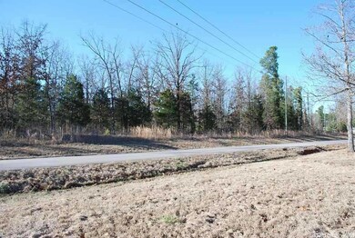 00 Rock Products Rd, Heber Springs, AR 72543 - photo 4