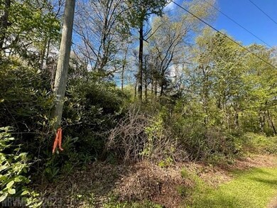 TBD Windermere Way, Fancy Gap, VA 24328 - photo 6