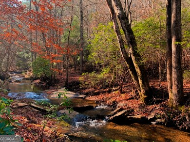 2468 Twisted Oak Rd, Talking Rock, GA 30175 - photo 3