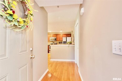 4523 N Tallgrass Ln, Peoria, IL 61615 - photo 5