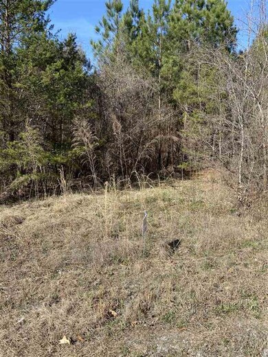 0 Plantation Trail unit 279177, Gaffney, SC 29340 - photo 3